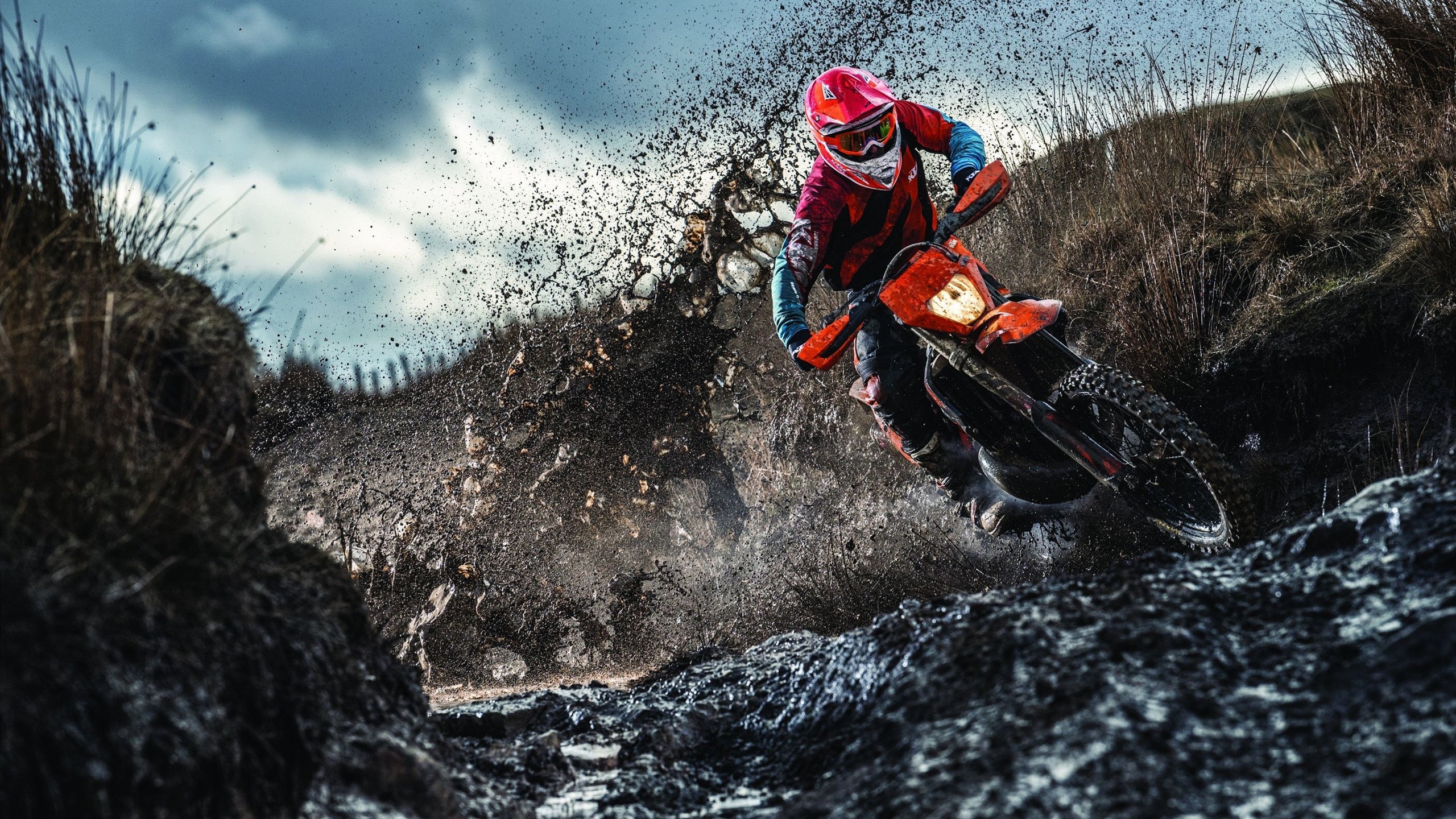 安全平台-张本智和赛点兑现，热刺淘汰北京国安晋级四强，主帅激动落泪